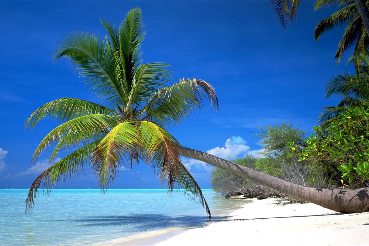 糖尿病、糖友之家、糖尿病论坛